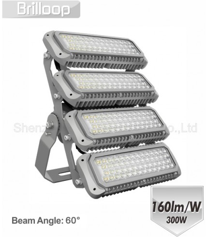 M17: 300W Modular Floodlight